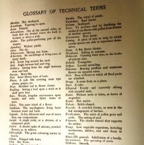Partial glossary