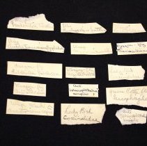 Paper scraps (#1976.1.1592.3b) found in book