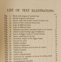 List of text illustrations