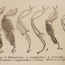 Sample textual line drawing