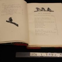 List of illustrations, partial