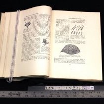 Sample textual drawing