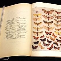 Sample coloured plate