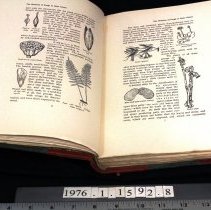 Sample line drawings