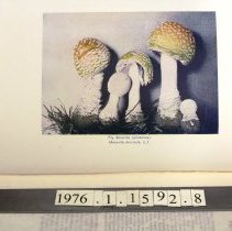 Sample colour plate #1