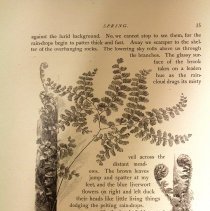 Sample interior page