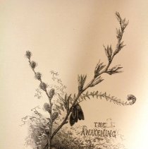The Awakening illustration