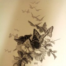 The Consummation illustration