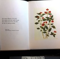 Sample poem and illustration