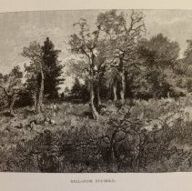 Sample landscape sketch