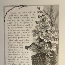 Sample text with drawing