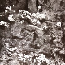 Sample illustration 2