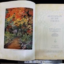 Frontispiece and title page