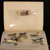 Sample plate & newspaper cut