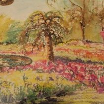 Daffodils, Hyacinths & Tulips at Bagatelle