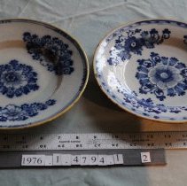 Comparison of plates 1 and 2