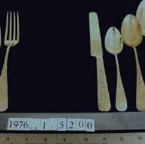 Place setting, Pond Lily pattern