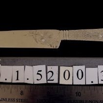 Dinner knife, Pond Lily pattern