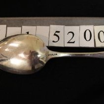 Teaspoon, Pond Lily Pattern    silver mark