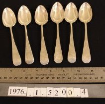 Teaspoon, Pond Lily Pattern   7-12