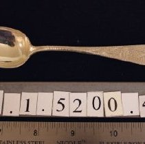 Teaspoon, Pond Lily Pattern