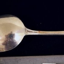 Dessert Spoon, Pond Lily pattern  sterling mark