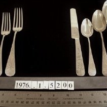 Pond Lily Place Setting