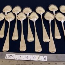 Large Dessert Sppons, Pond Lily pattern    verso