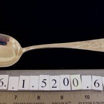 Large Dessert Sppon, Pond Lily pattern