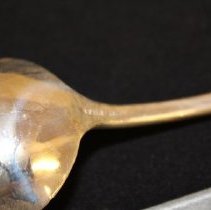 Large Dessert Sppons, Pond Lily pattern    silver mark