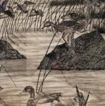 Pen and Ink Drawing,Water Birds ,closer