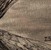 Pen and Ink Drawing,Water Birds, signed