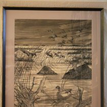Pen and Ink Drawing,Water Birds, framed
