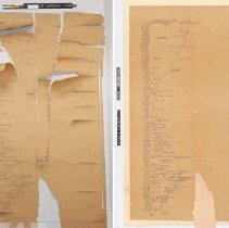 Before and After Conservation