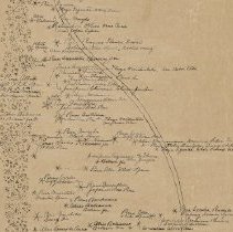 Shrub walk plan, 3rd quarter