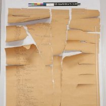 Pre-conservation image, Shrub Walk plan