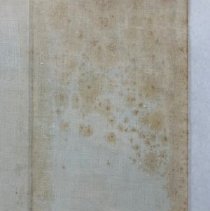 Foxing on rear cover, folded