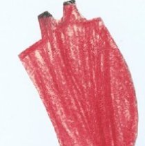 2020.2.jcp007 Baby's Record Xmisc.01a