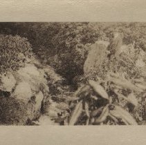 1976.1.a019.01.11 Bosquet Old Rill