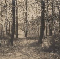 1976.1.a019.01.04 Bosquet Early View West Large Rock