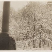 1976.1.a021.01.15a Winter Scene Bosquet North Porch