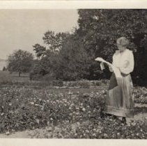 1976.1.a021.01.17 Belle Grier North Garden