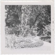 1976.1.a021.01.34.02 Different Angle