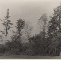 1976.1.a025.01.17a Hurr38 Enclosed Garden Damage