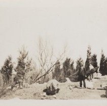 1976.1.a025.01.21 Hurr38 Rock Garden