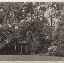 1976.1.a025.01.03a Hurr1938 Hemlock Fallen St