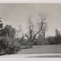 1976.1.a025.01.28 Hurr38 Tractor Storm Damage