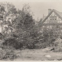 1976.1.a025.01.08a Hurr38 Norway Maple St