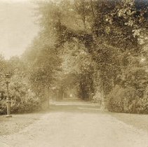 1976.1.p042.05.01 Entry Lovers Lane