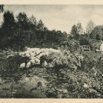 1976.1.p042.05.09d Early Water Garden